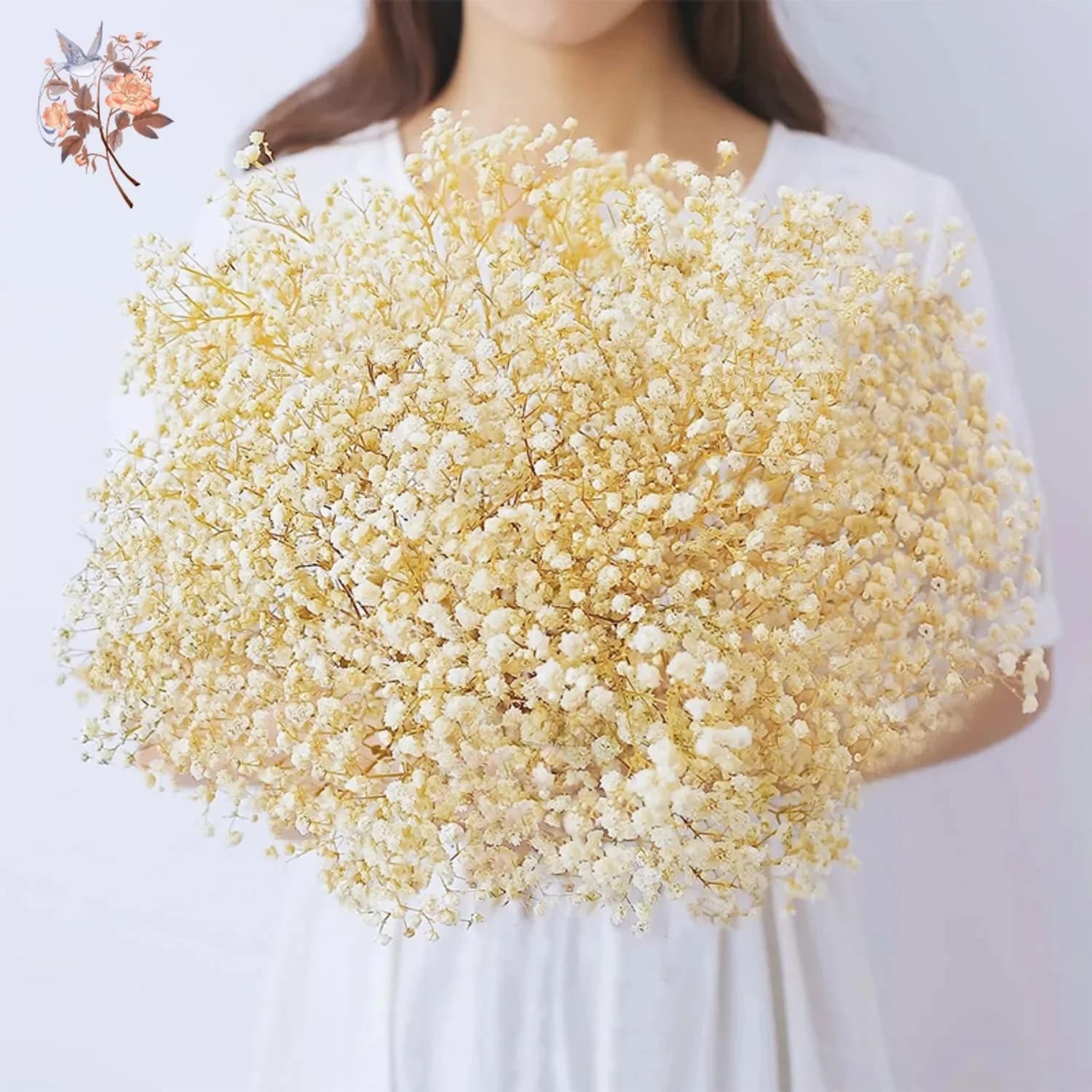 Natural Fresh Dried Flowers Gypsophila Wedding Decoration Bridal Bouquets Baby Breath Flower Boho Home Room Ornament Gypsophile