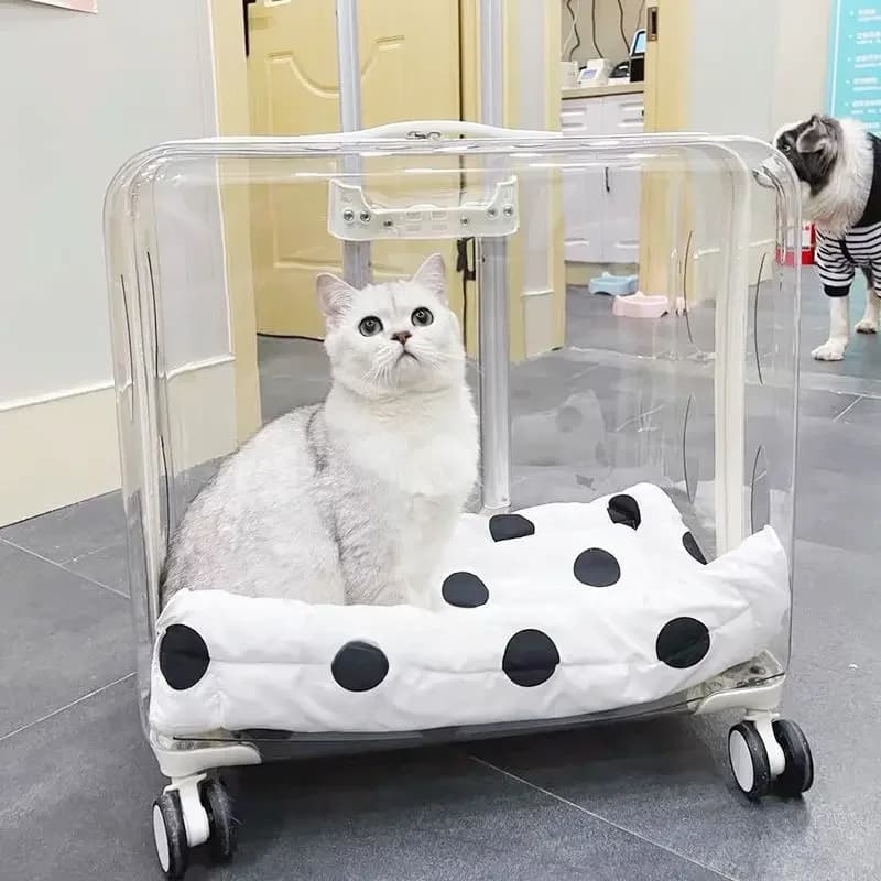 Lightweight Transparent Pet Trolley Case, Beauty Case, Professional Cat Stroller with Wheels, Expandable Pets Accessories