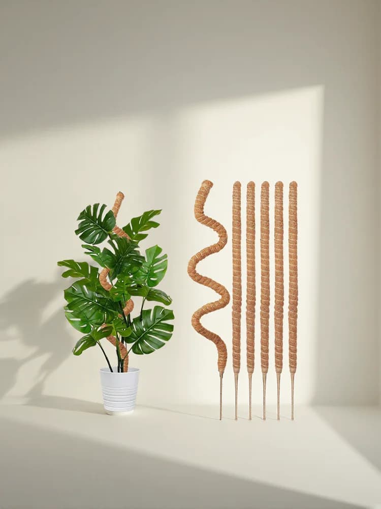 Moss Pole for Plants Monstera Plant Support Stakes for Climbing Indoor Plants Garden Trellis Plant Stick for Potted Plants