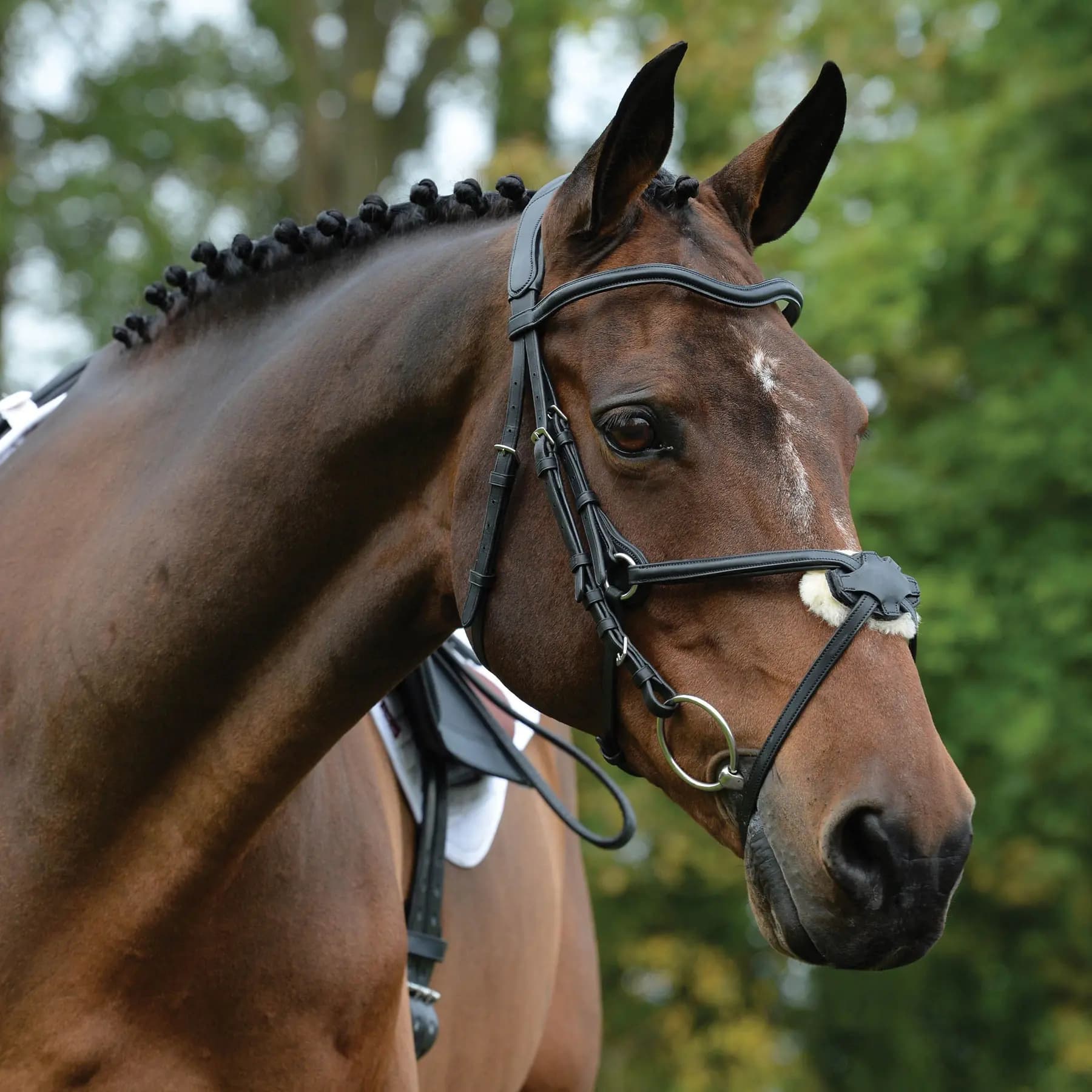 Riding bridles for dolphins Weatherbeeta Collegiate Comfitec