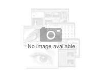 Microsoft Project Standard 2024 - licence - 1 licence