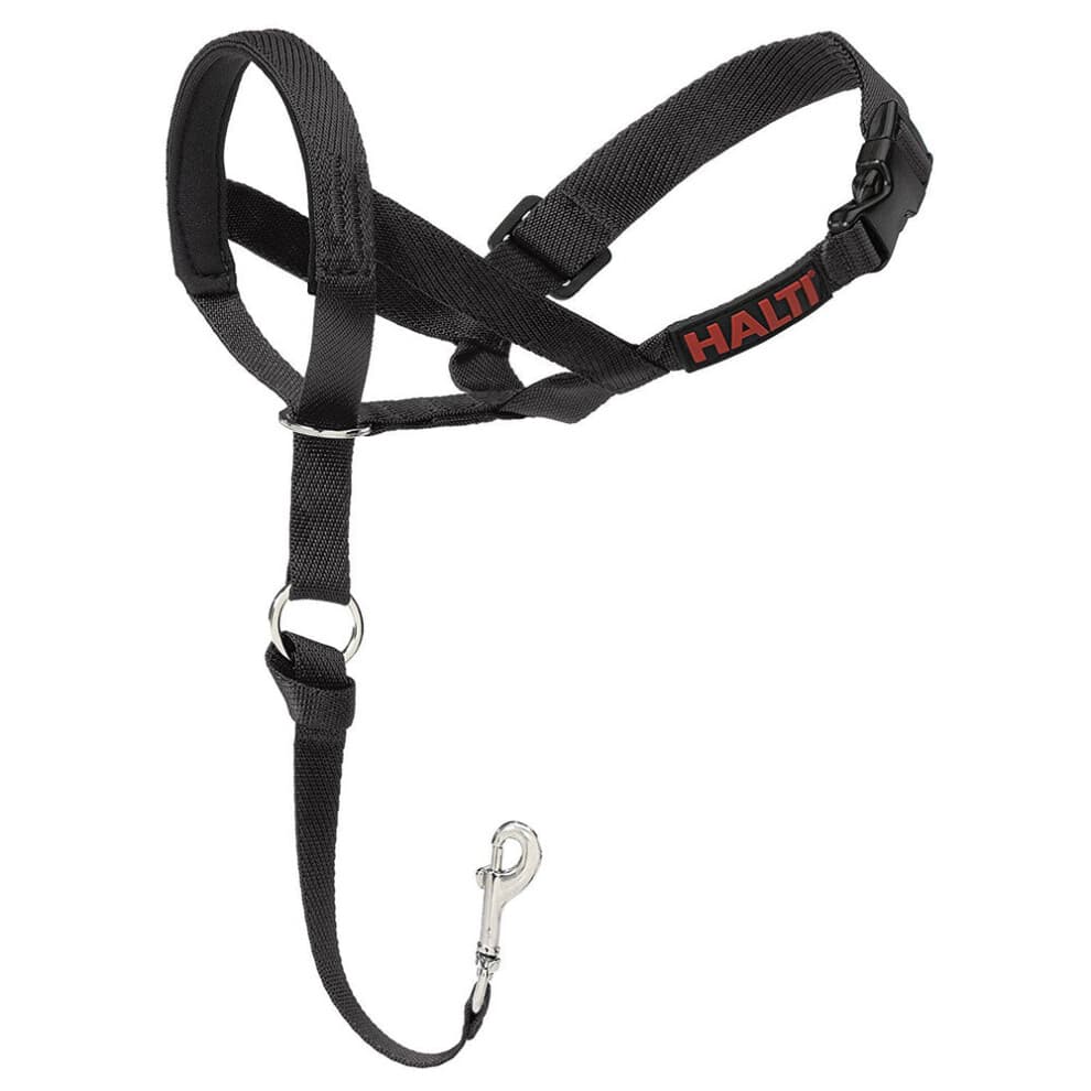 (Size 2) Company of Animals Halti Head Collar for Dogs