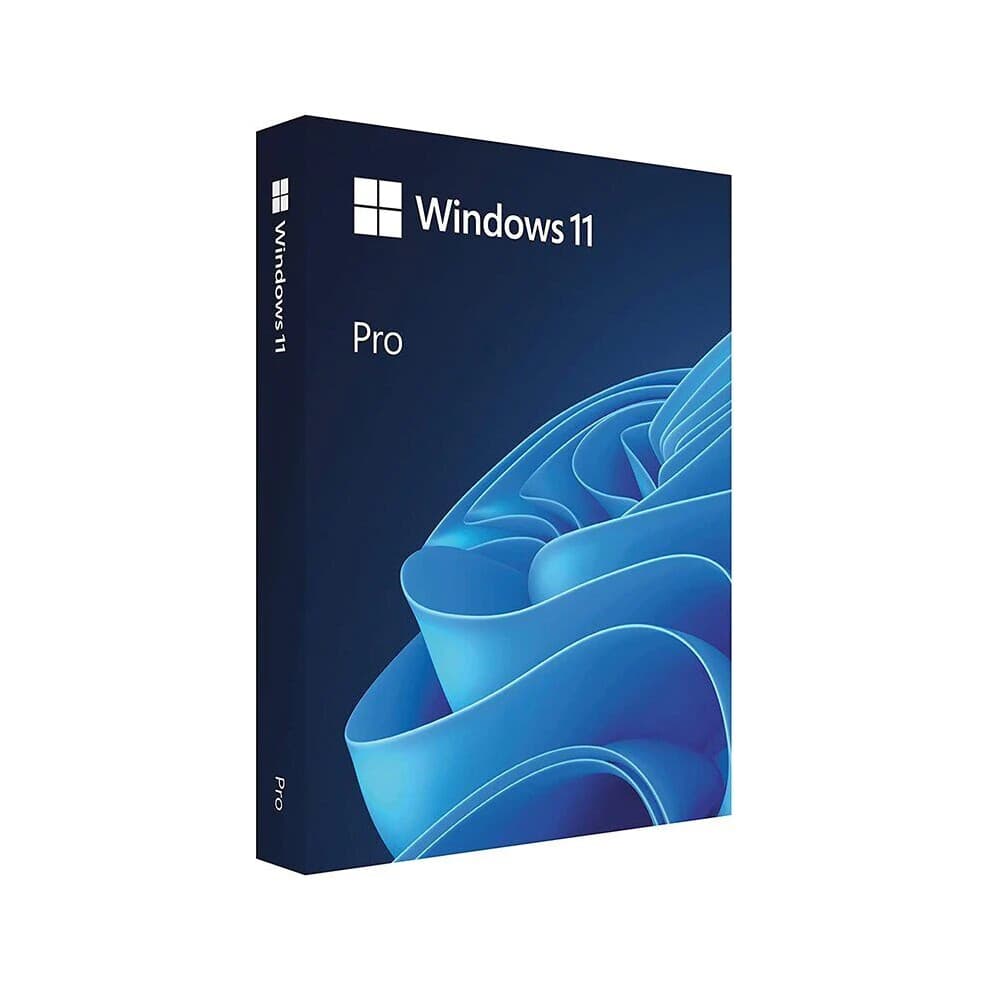 MS Windows 11 Professional