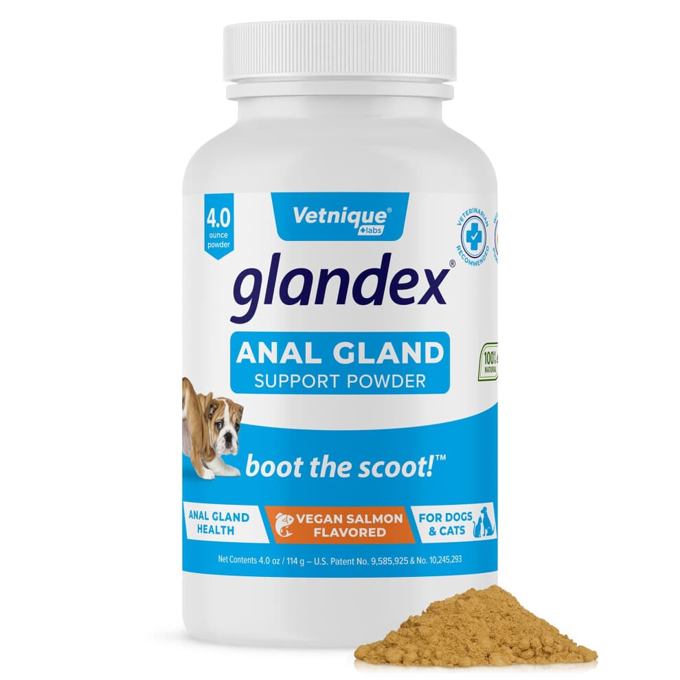 Glandex Dog & Cat Anal Gland Sac Fiber Supplement Powder With Pumpkin, Digestive Enzymes & Probiotics ? Vet Recommended Healthy Bowels & Digestion -