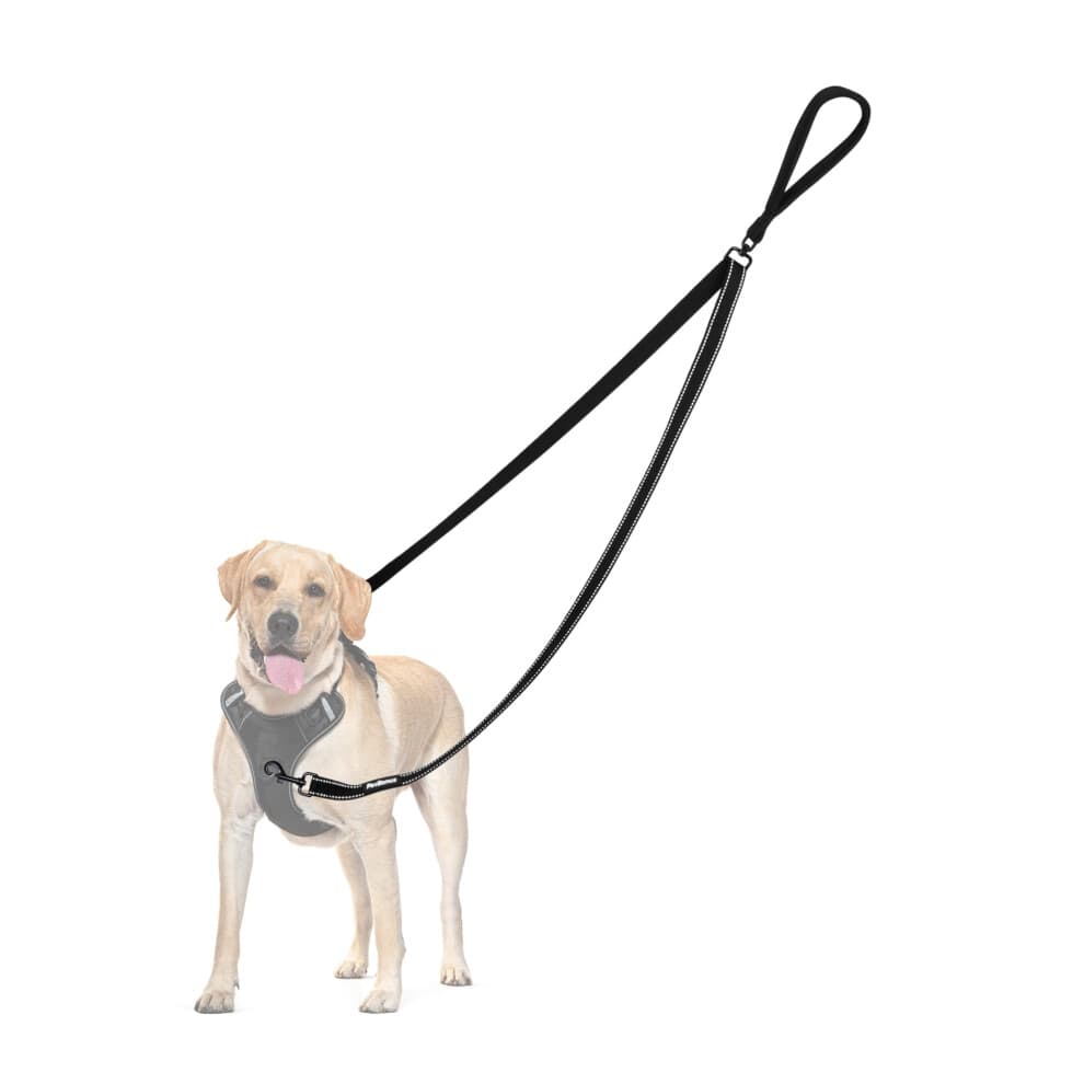 PetBonus Two Point Control Dog Leash, Works with No Pull Harnesses, No Tangle Training Leashes, Soft Padded and Reflective Walking Lead, Converts to