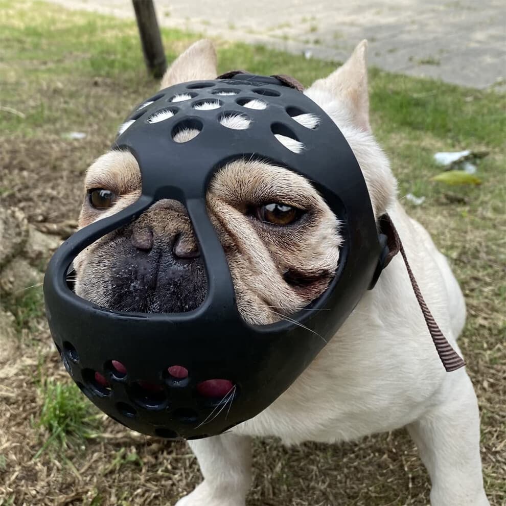 (XL) Soft Silicone Short Snout Dog Muzzle for Flat - Faced Breeds (French Bulldog, Shih Tzu, Pug) - Prevents Biting, Chewing, Licking During Grooming,