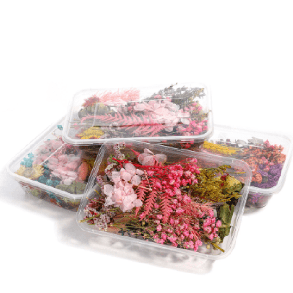 Nature's Palette, Assorted Dried Flowers Compatible with Creative Crafting and Aromatherapy