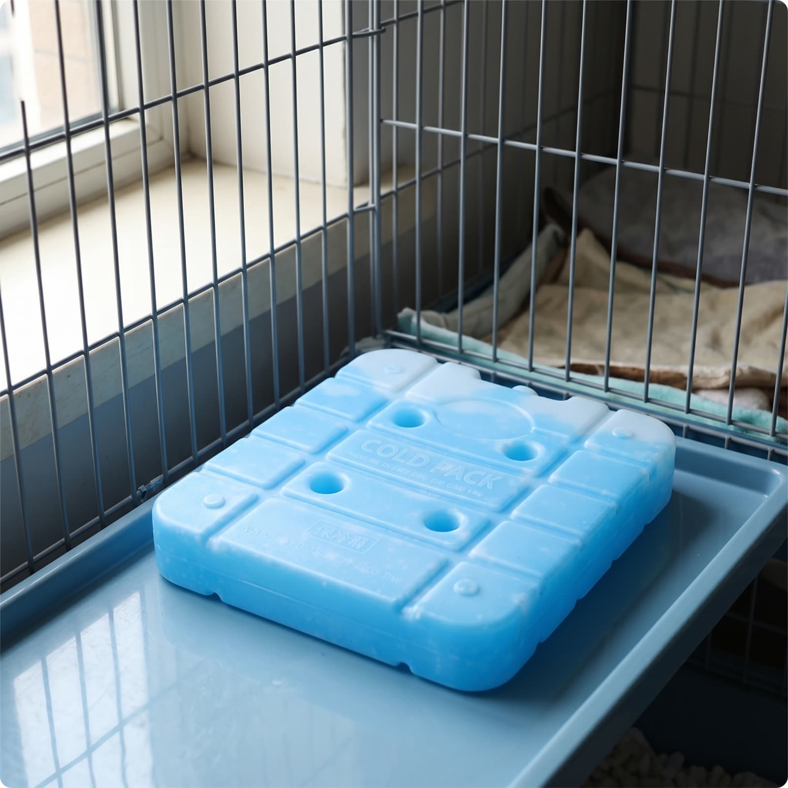 Pet Cooling Plate Flat Ice Pack with Fill Line Non-Electric for Chinchillas