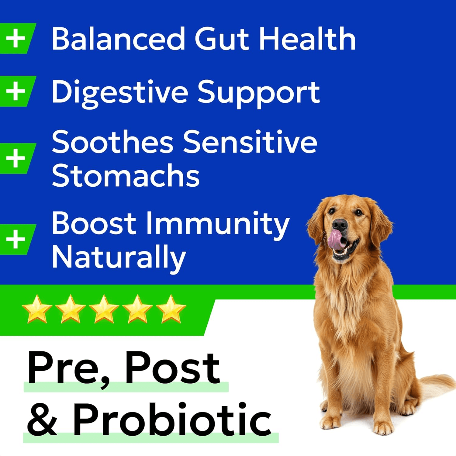 Advanced Dog Probiotics for Gut Health - Made in the UK - Pre| Post and Probiotic view 2