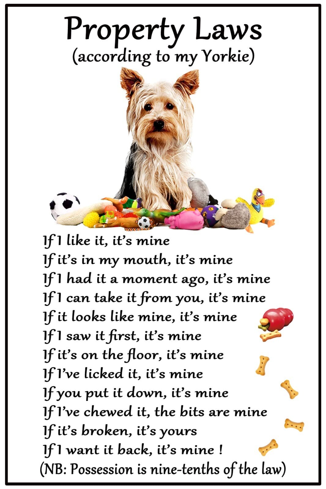 Yorkshire Terrier Dog Lovers Gift  Flexible Magnet Dog Property Laws