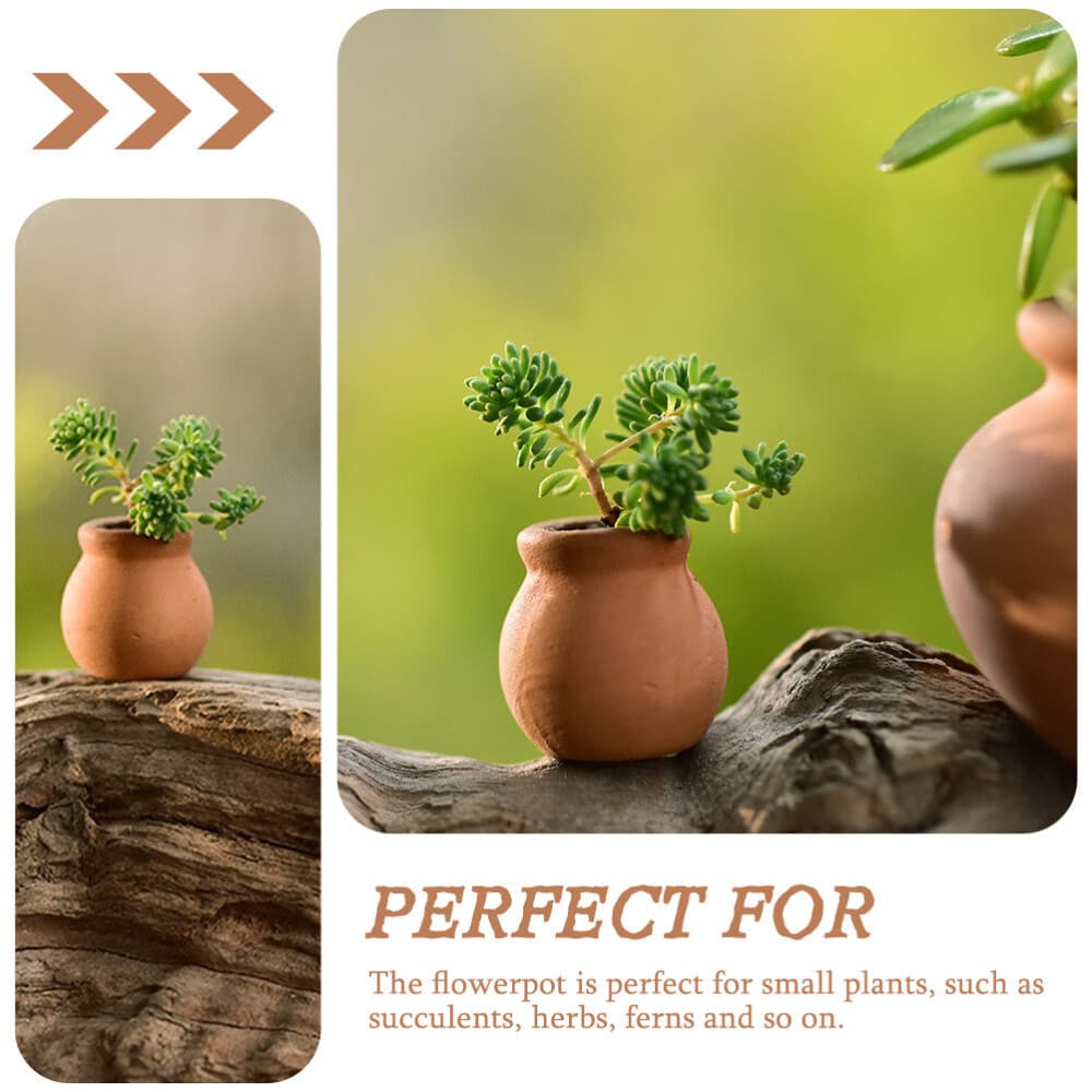 6 Pcs Ollas Watering Pots Terracotta Plant Clay Small Durable Flower view 2