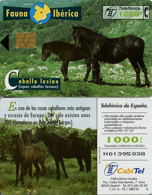 1000 PTA. Iberian fauna. Losino horse. CabiTel.