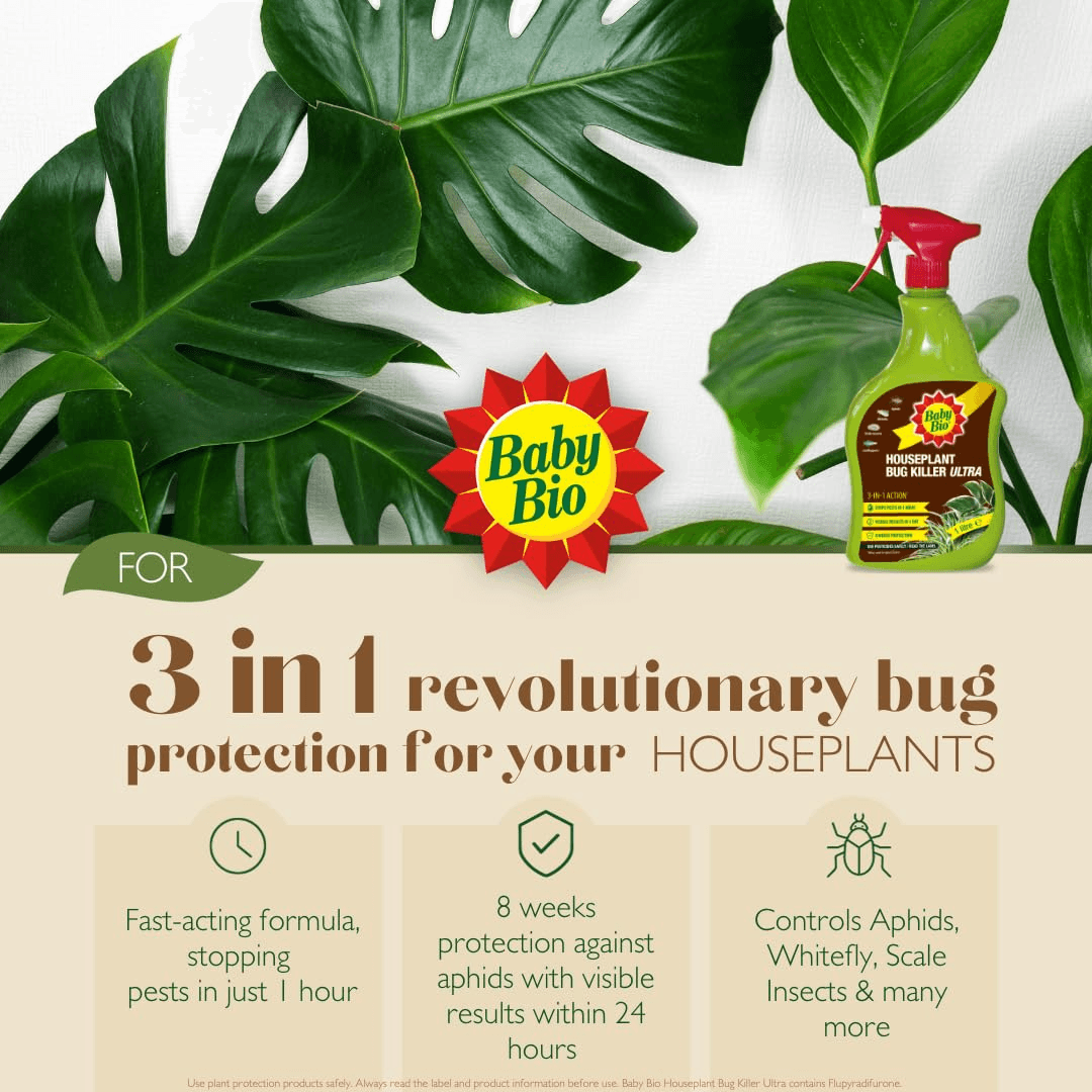 Houseplant Bug Killer Ultra - Fast-Acting Bug Killer Spray - Effective Insect Co view 2