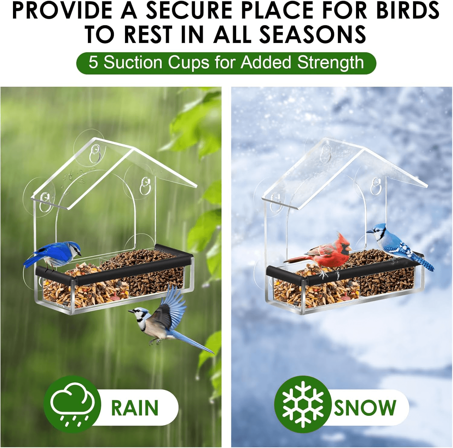 Clear Window Bird Feeder with 5 Strong Suction Cups| Sturdy and Durable Acrylic view 2