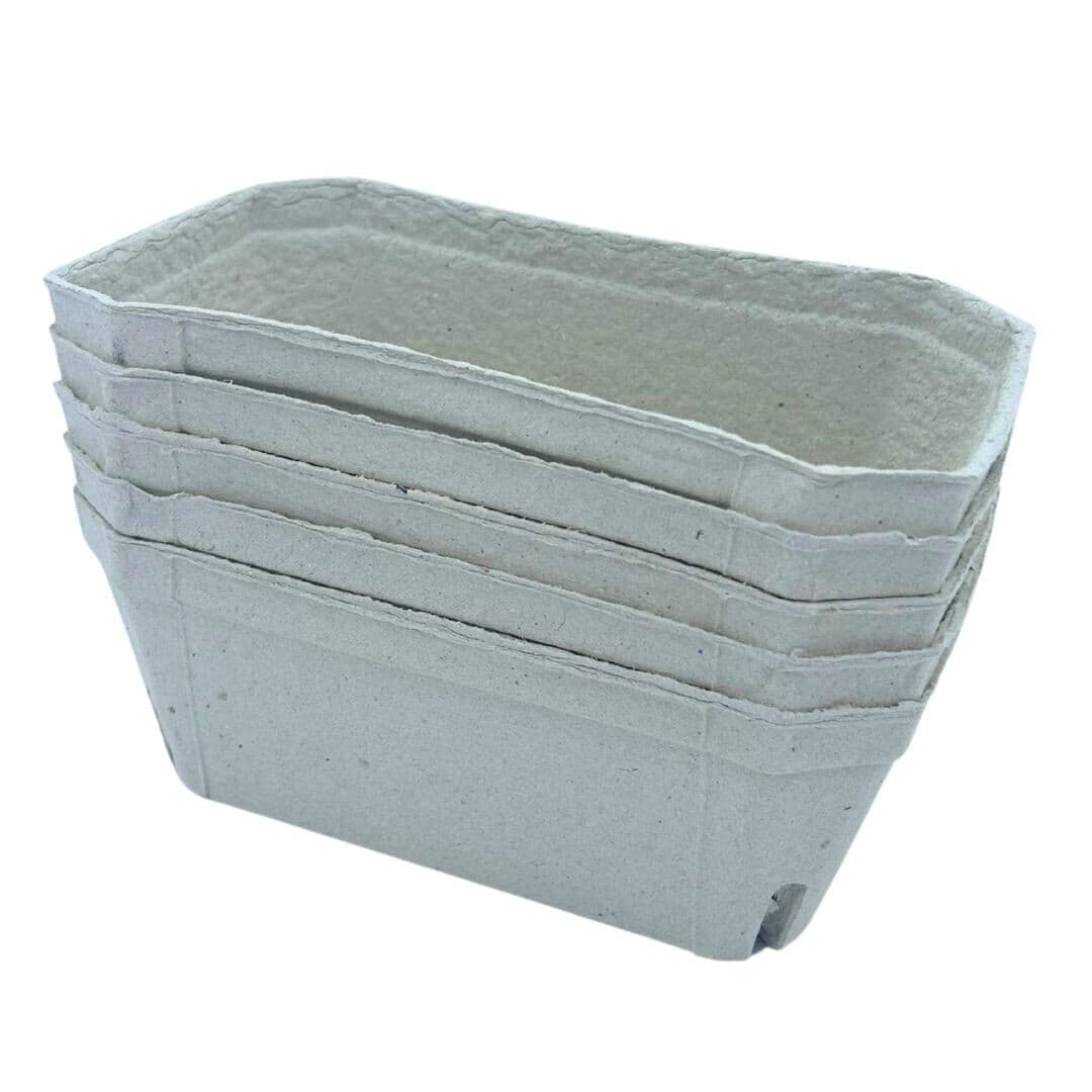 Bramley and Sage 500g Biodegradable Fibre Fruit Punnets (Set of 50)