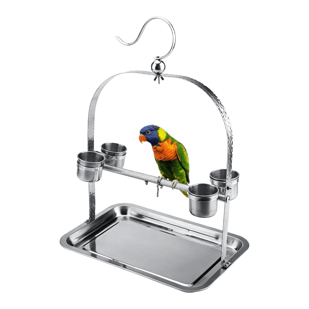 Stainless Steel Bird Perch Stand with Detachable Tray for Medium Birds
