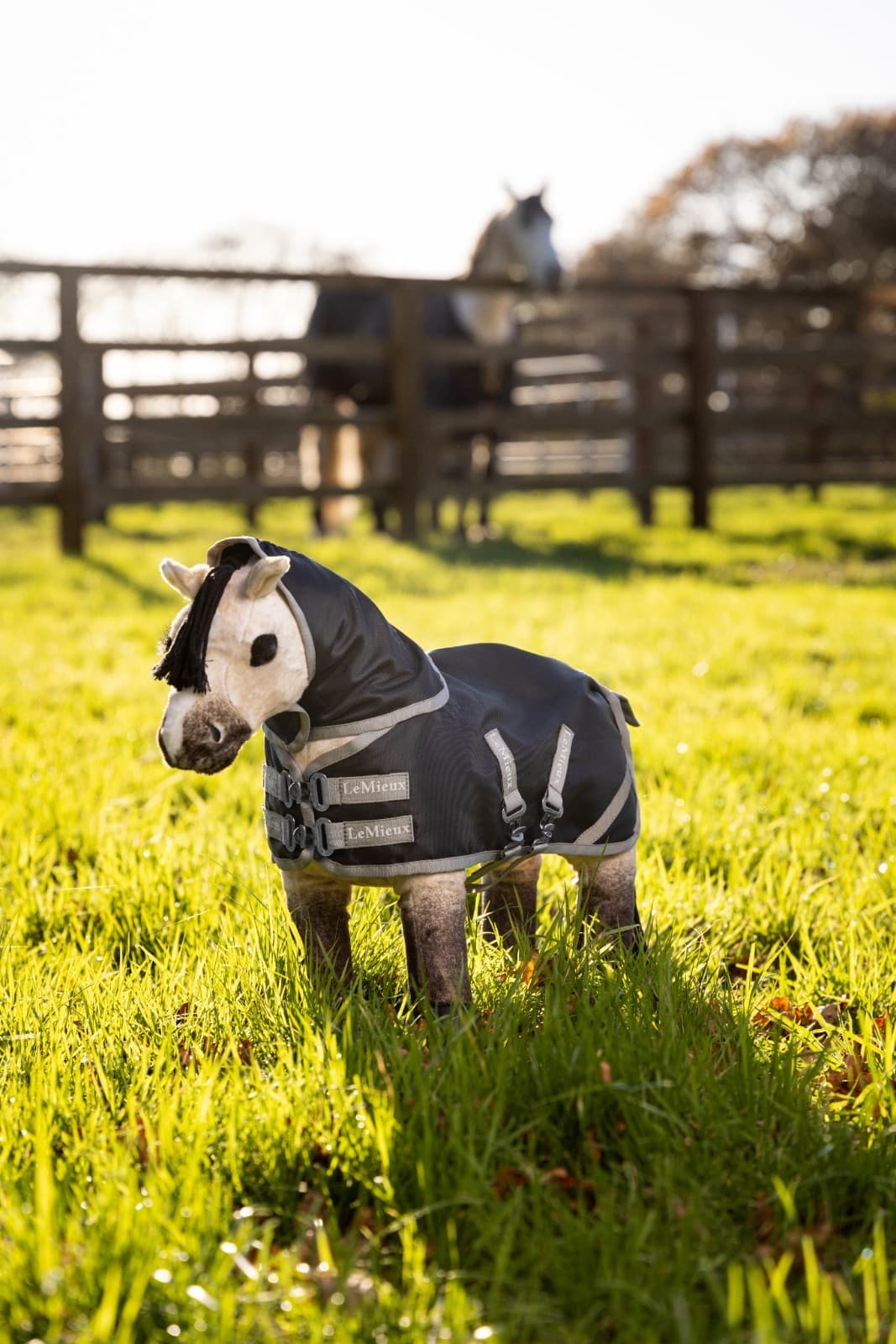 LeMieux Toy Pony Storm-Tek Turnout Rug Navy | Shower Resistant| Buckles