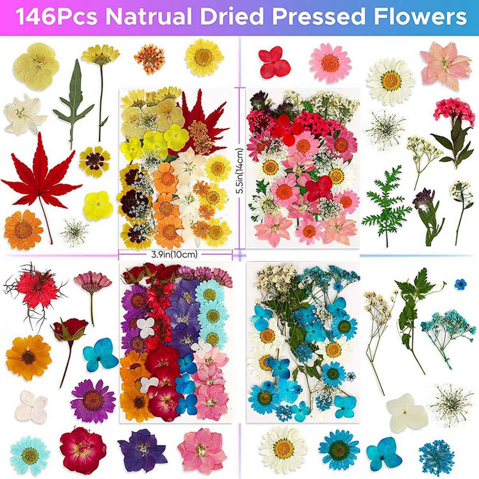 432PCS Natural Dried Pressed Flowers for Resin,Dry Flower Bulk Natural1171 view 2