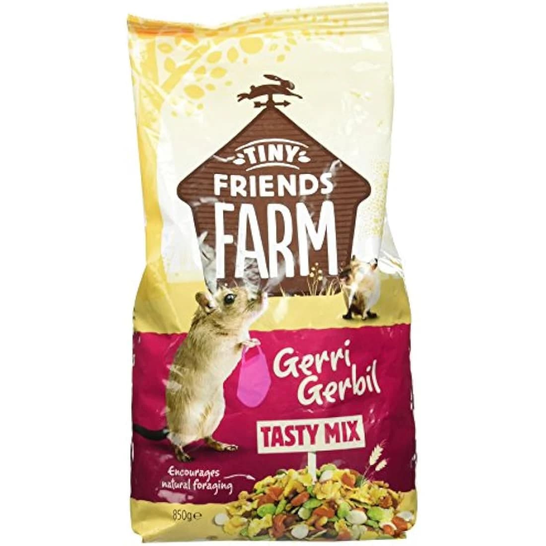 Supreme Gerri Gerbil Food 850gm