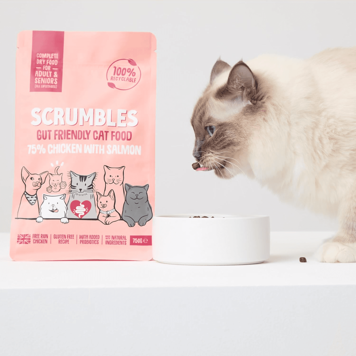 All Natural Dry Cat Food with 75% Chicken and Fresh Salmon| High Protein Food fo view 2