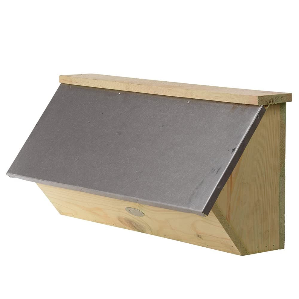 Swift Nest Box