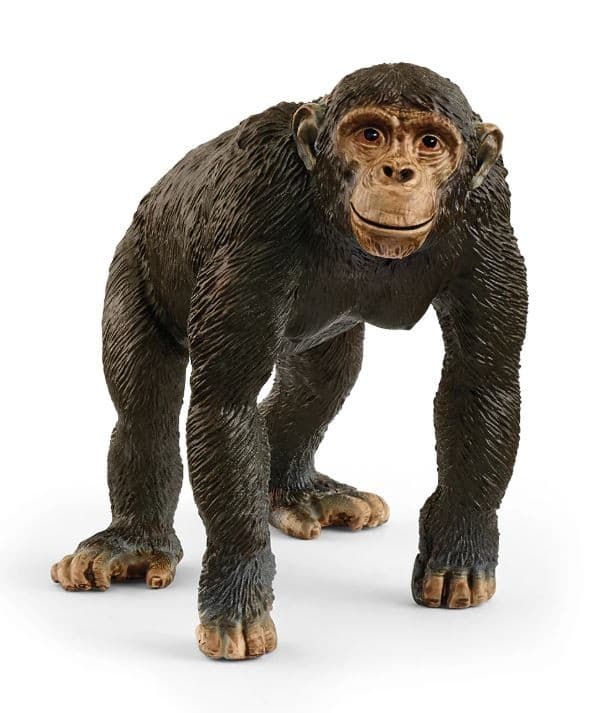 SCHLEICH - Chimpanzee -  - SHL14883