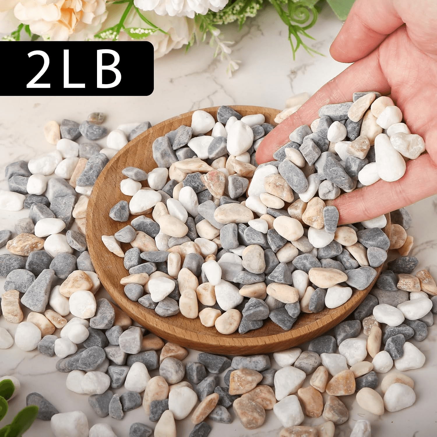VGOODALL 900G Gravel Pebbles Mixed Colour| 2LB Natural Decorative Pebbles Succul view 2