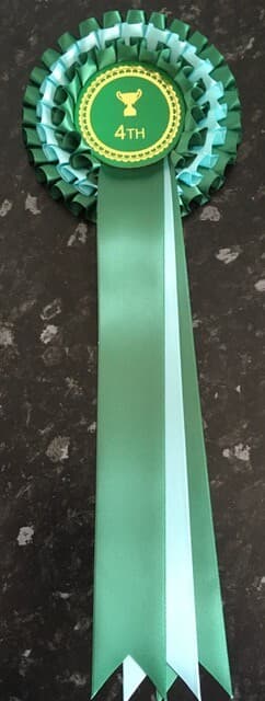 Individual Placing 3 Tier Rosettes for any event| 68mm centre in quality satin.