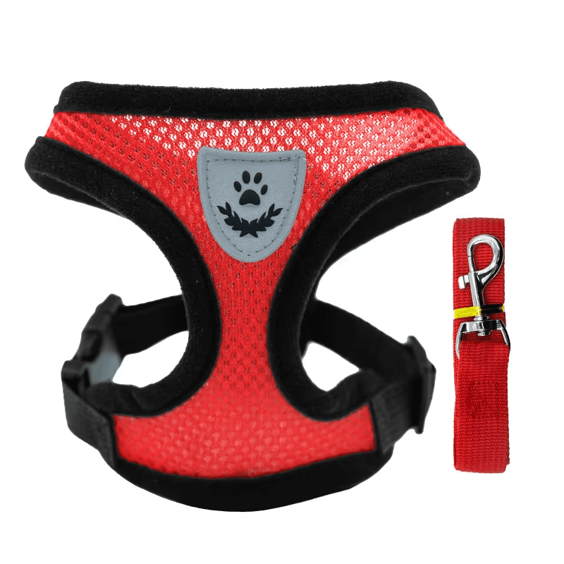 Breathable Mesh Dog Cat Harness and Leash Set Small Puppy French Bulldog Pug