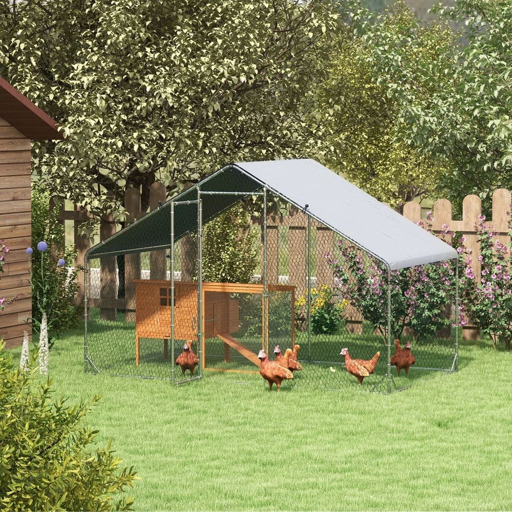 Premium Galvanized Chicken Run with Cover - Keep Your Chickens Safe and Happy Ou