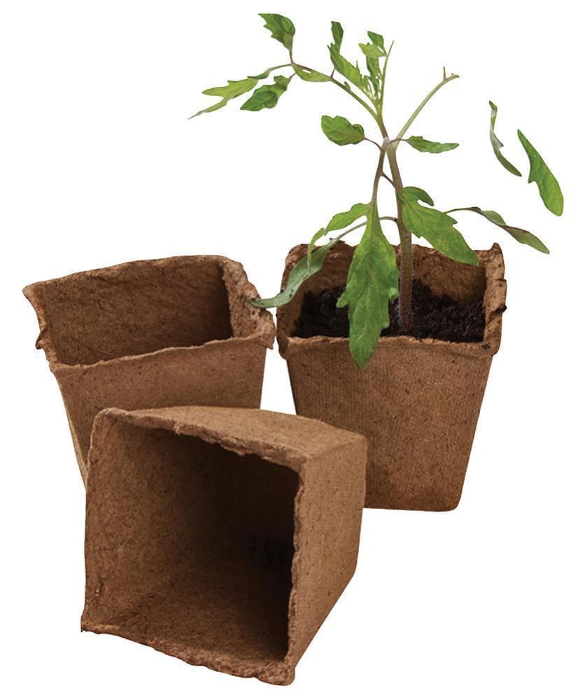 8cm Square Fibre Plant Pots| 12 Pack - W0292