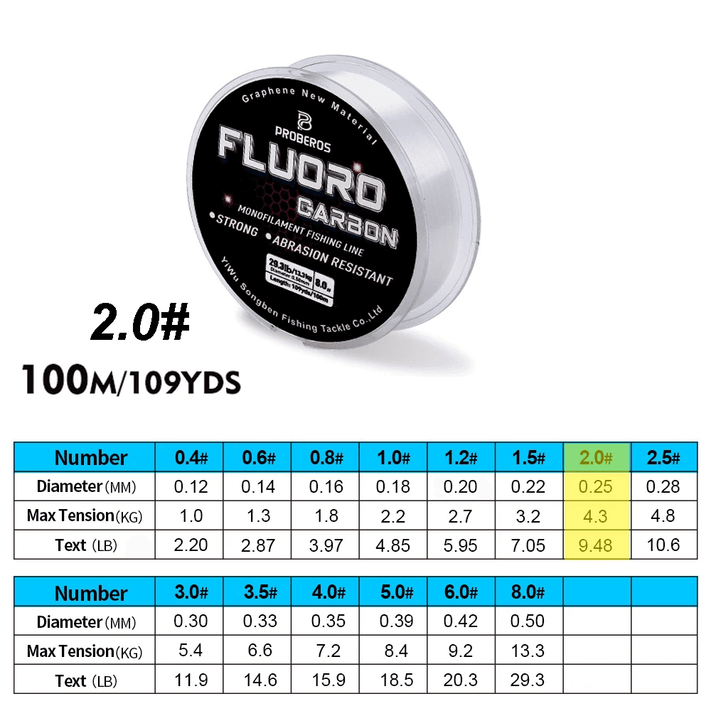 100M Fluorocarbon Coated Fishing Line 2.2-29.3LB Mono Leader Carp Sinking UK
