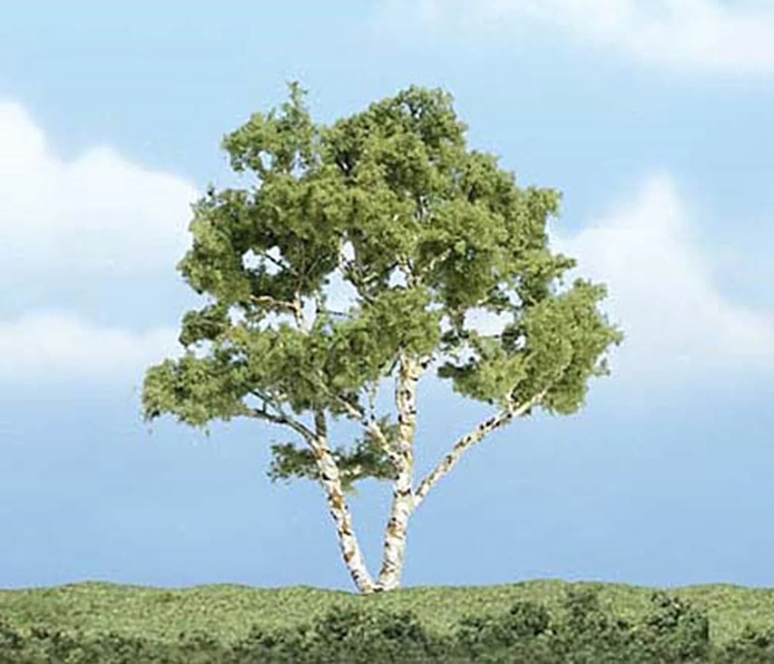 Woodland Scenics WTR1601 TR1601 Premium Birch Tree 3 7/8 inch