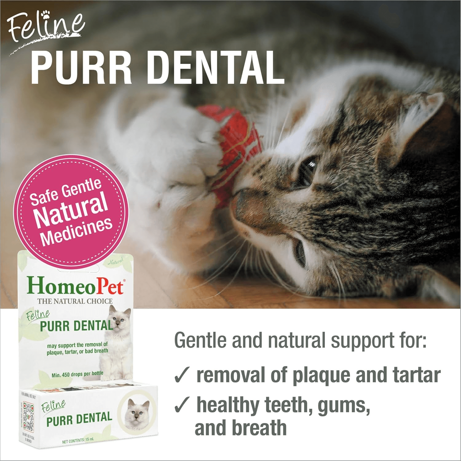 FELINE PURR DENTAL - 100% Natural Pet Medicine. for Healthy Teeth| Gums and Brea view 2