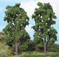 HEKI| 2 chestnut trees 20 cm| | HEK1980