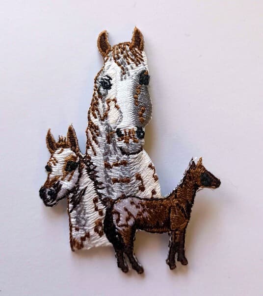 Appaloosa Horse Heat Applied Embroidered Badge