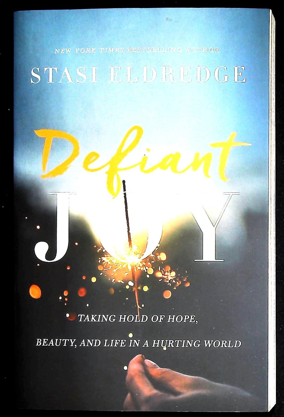 Defiant Joy: Taking Hold of Hope| Beauty| and Life in a Hurting World NEW Book