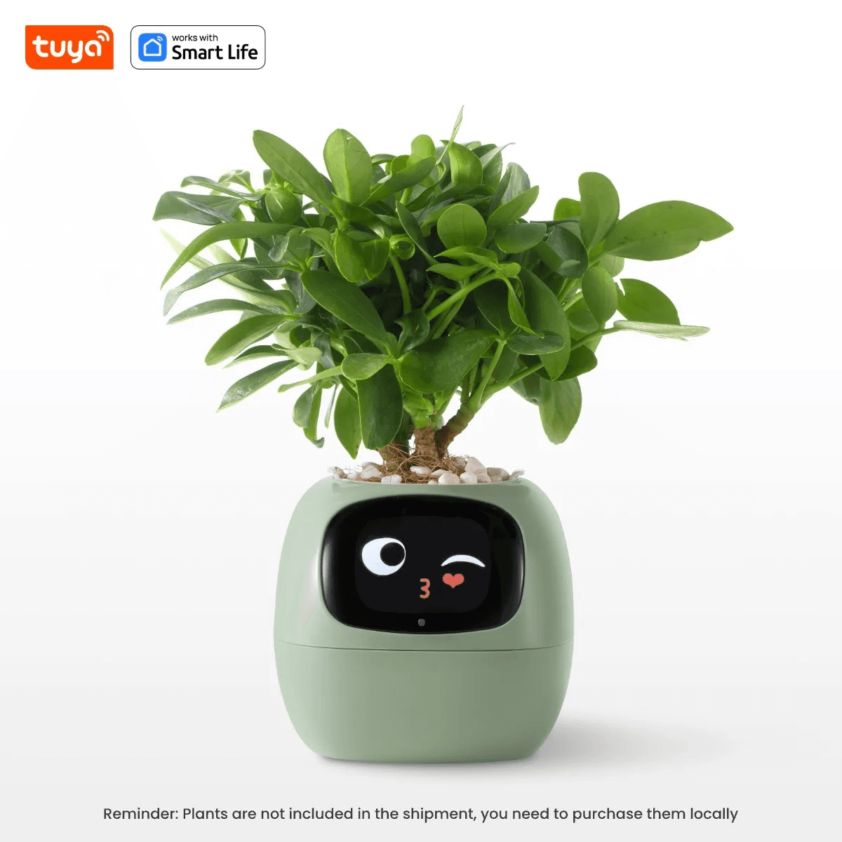 Gen1 Tuya Ivy Smart Planter,Endless Fun over 49 Rich Expressions,7 Smart Sensors