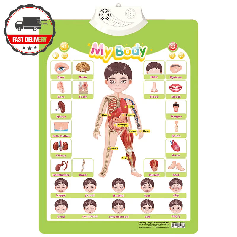 Interactive Alphabet Wall Chart Talking ABC Electronic Poster Toy Learning Presc