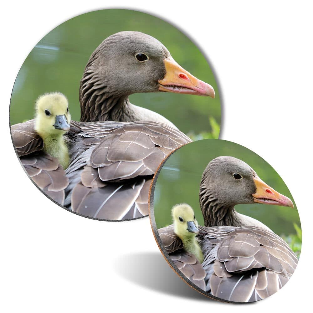 Mouse Mat and Coaster Set Mother Goose and Baby Bird #51494