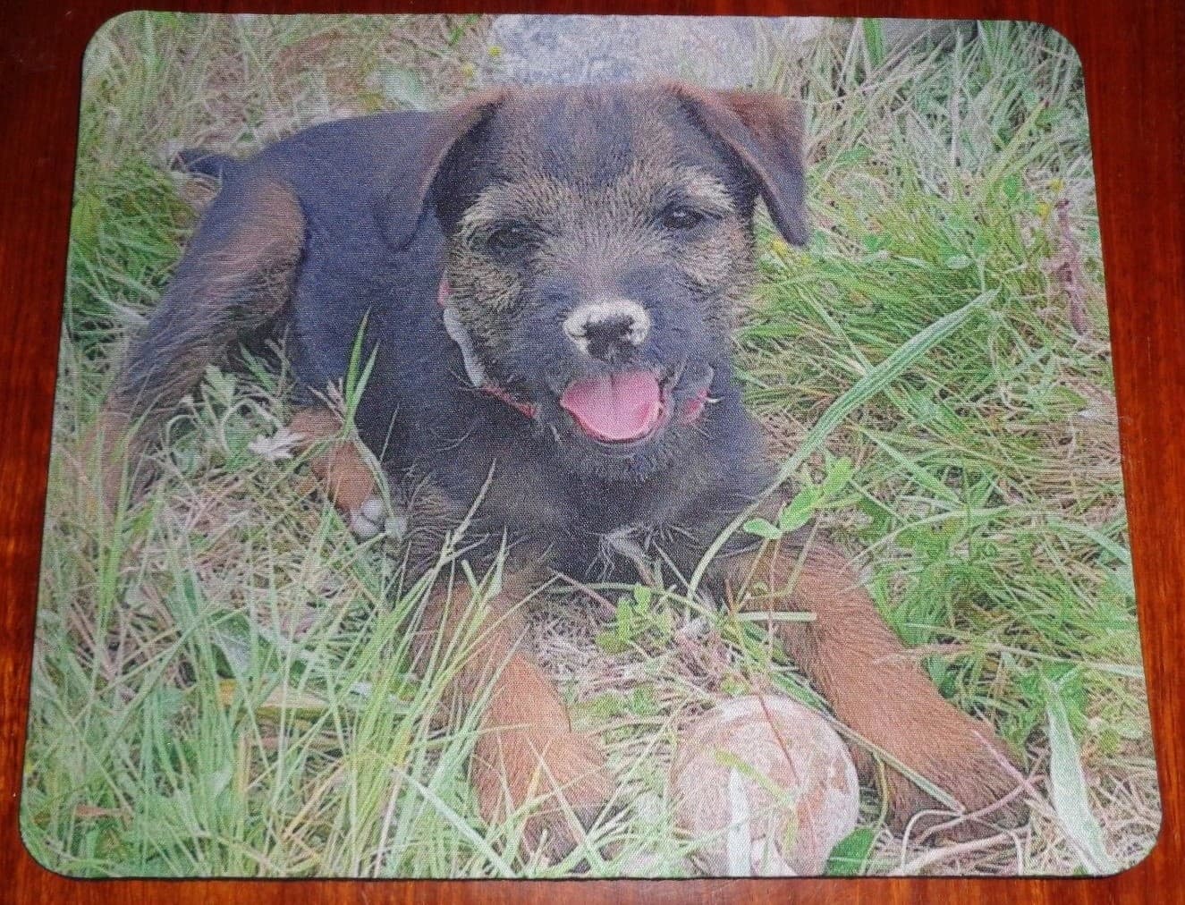 Mouse Mat CHALK QUARRY DOG Border Terrier
