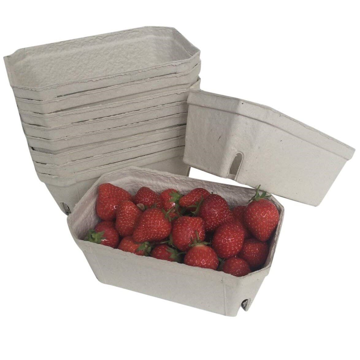 Nutley's Fruit Punnets Fibre Biodegradable Compostable Recycled 500g