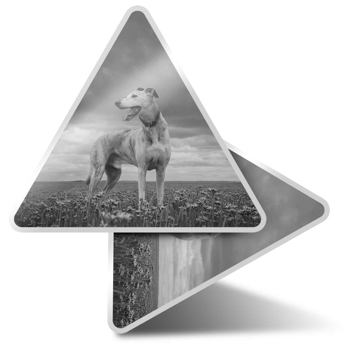 2 x Triangle Stickers  10cm - BW - White Greyhound Pet Dog  #36959