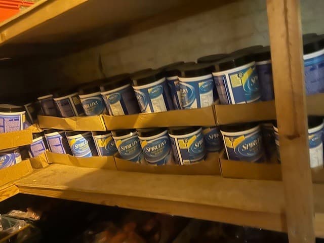 Joblot/Wholesale Of Spirulina Protein (Approx 140 Tubs) -COLLECTION