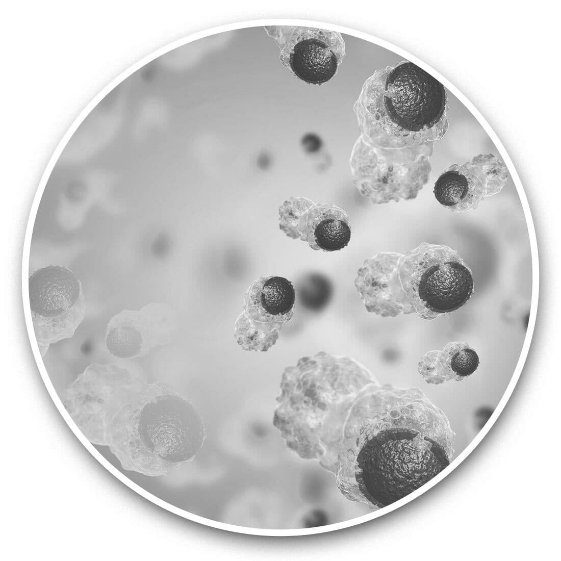 2 x Vinyl Stickers 15cm (bw) - Cancer Cells Medical Doctor  #35847