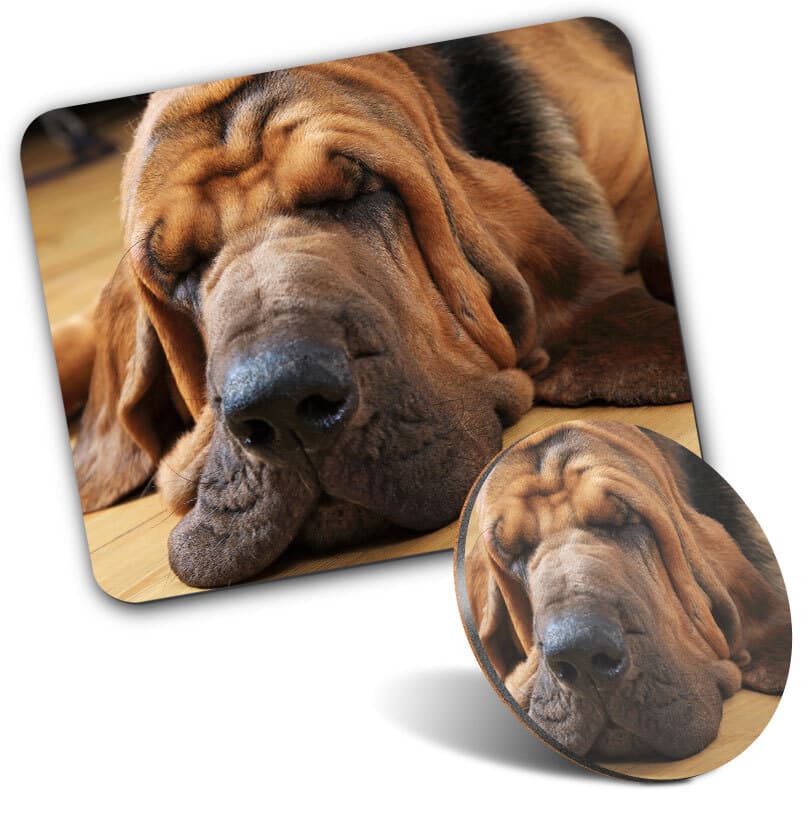 1 Mouse Mat and 1 Round Coaster Sleepy Bloodhound Dog Puppy Hounds #53424