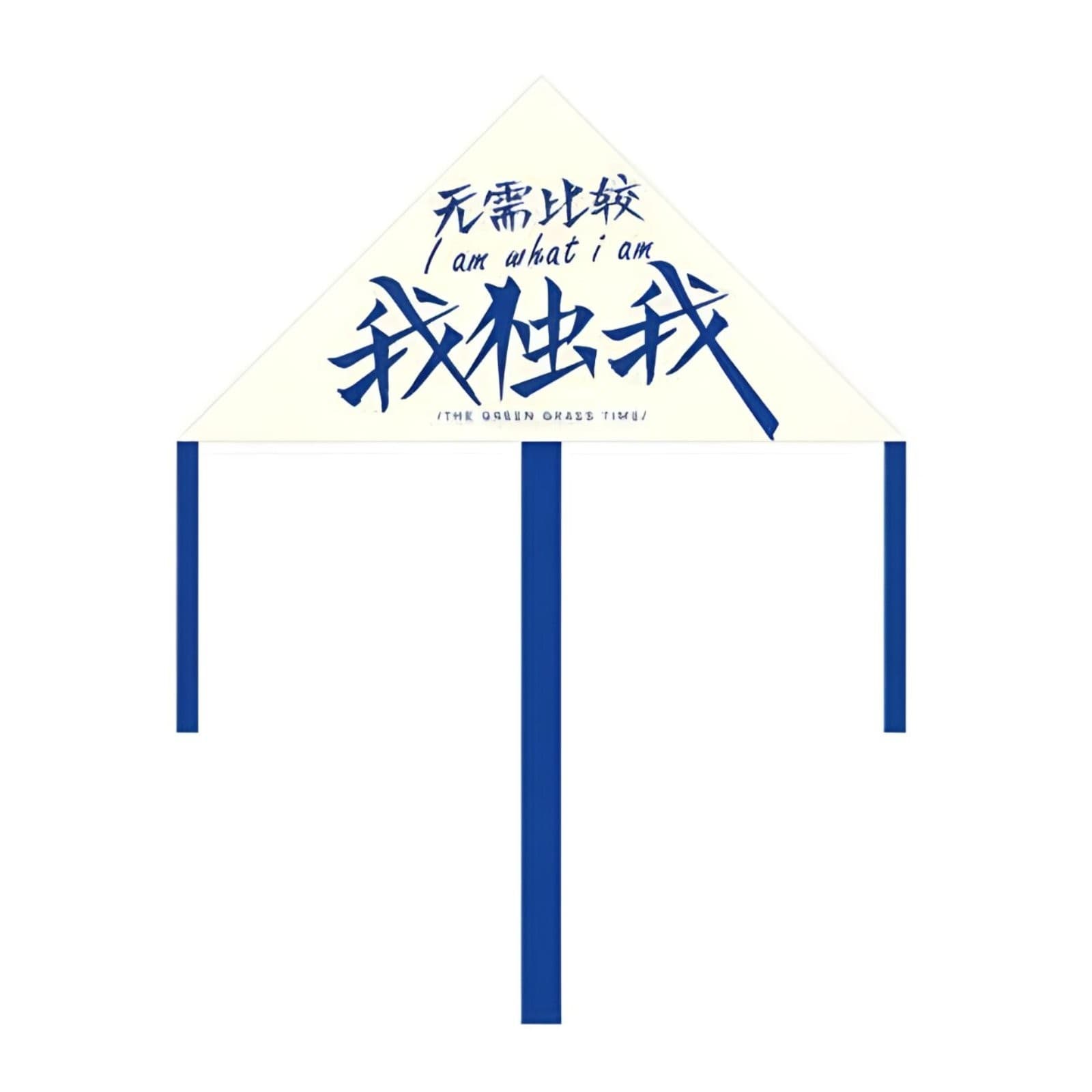 Triangle Kite| Original| Fun Text| Lightweight| Easy Fly| Portable