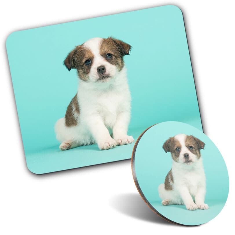 1 Mouse Mat and 1 Round Coaster Wire Haired Jack Russell Puppy Dog #52507