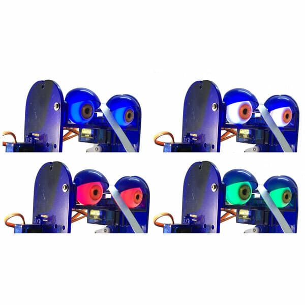 Ohbot 310 Illuminating Eyes