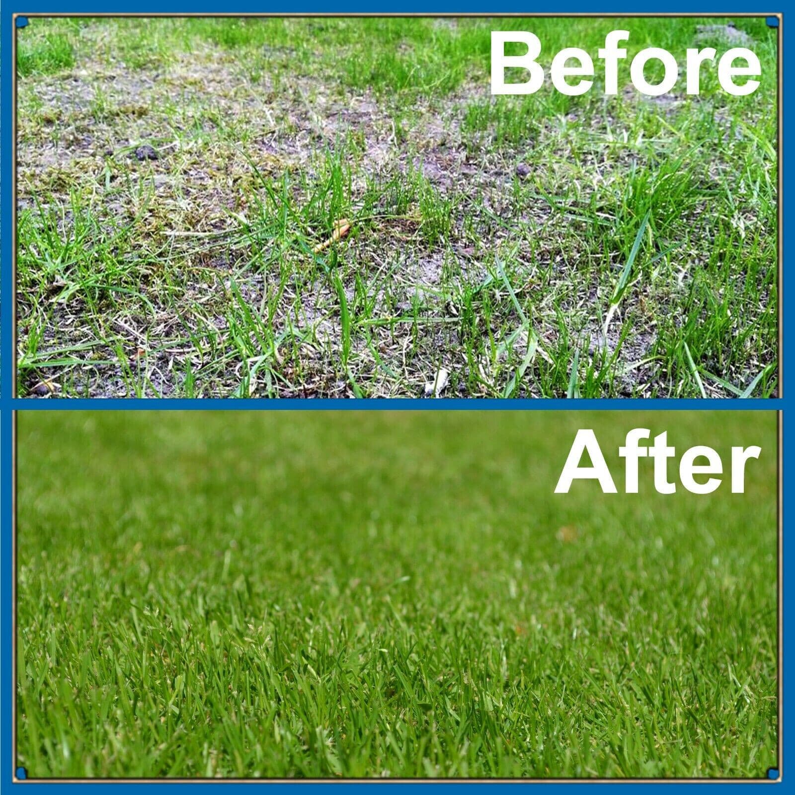Empathy Supreme Green Lawn Healthy Feed 1L Concentrate Biostimulant All Lawns view 2